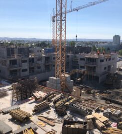 Zedrus – Verkeftirlit ehf.