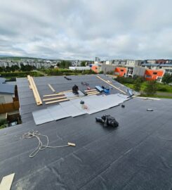 Þak- og gluggaþjónusta Reykjavíkur